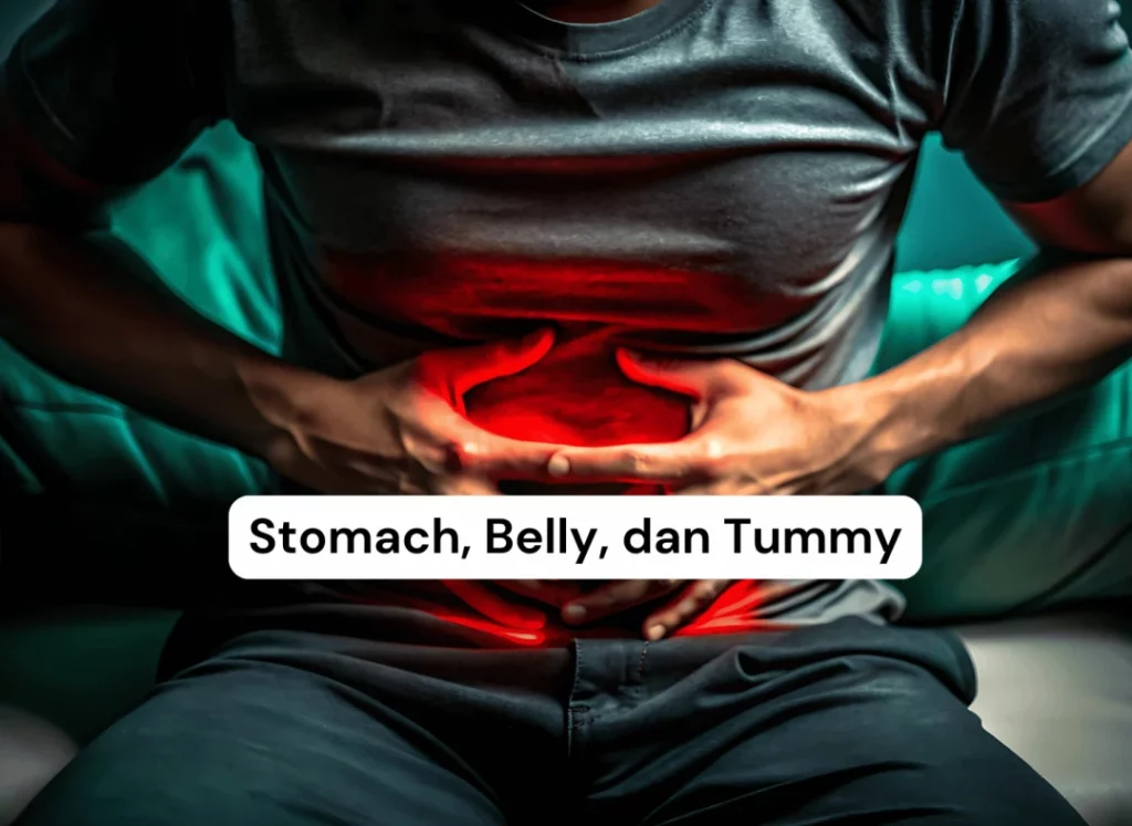 Cara Mudah Bedain Stomach, Belly, dan Tummy + Contoh Pemakaiannya