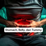 Cara Mudah Bedain Stomach, Belly, dan Tummy + Contoh Pemakaiannya