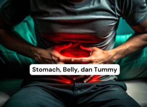 Cara Mudah Bedain Stomach, Belly, dan Tummy + Contoh Pemakaiannya